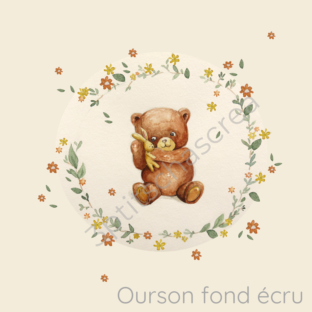 ourson écru- illustration