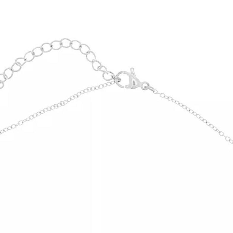 Collier en acier inoxydable couleur argent, réglable.